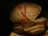 004-6.jpg