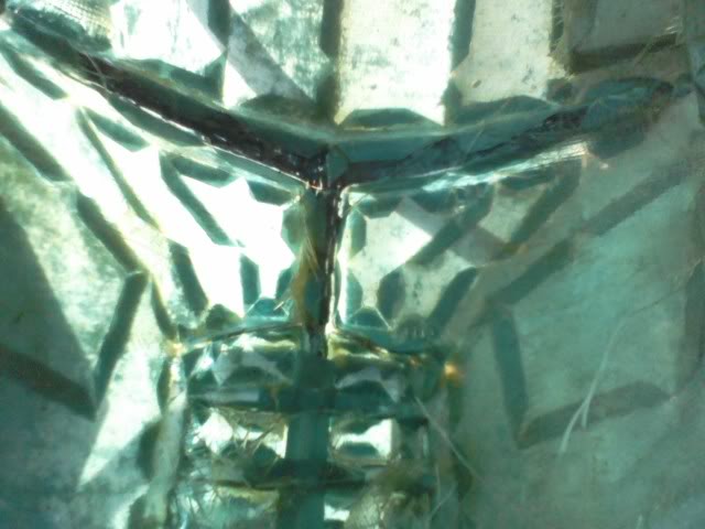 0131121551a.jpg