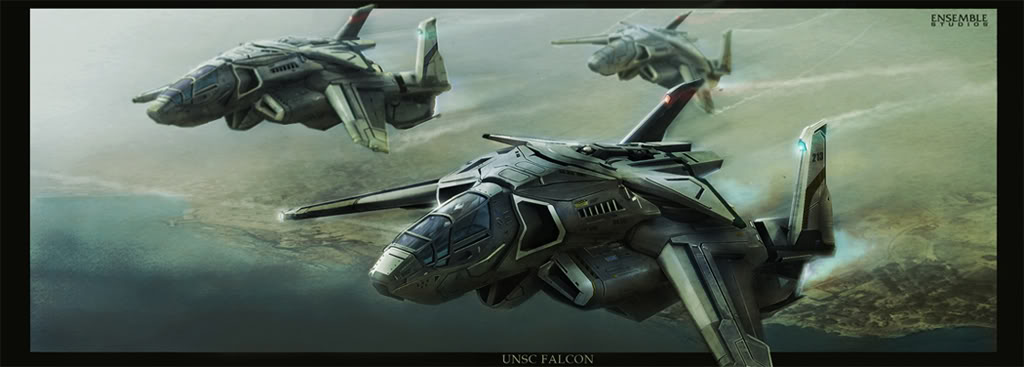 013_falcon.jpg