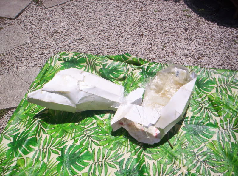 100_0702.jpg