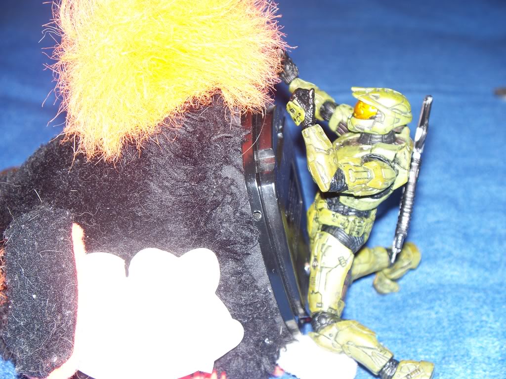 100_1043.jpg