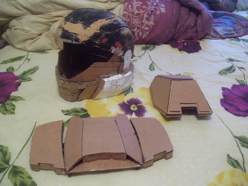 100_2131.jpg