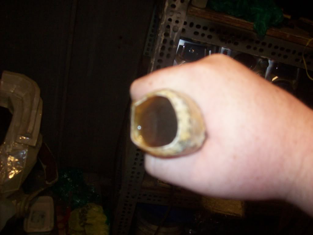 100_3737.jpg