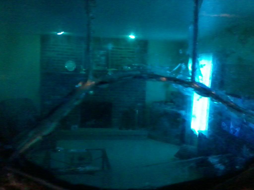120313_011.jpg