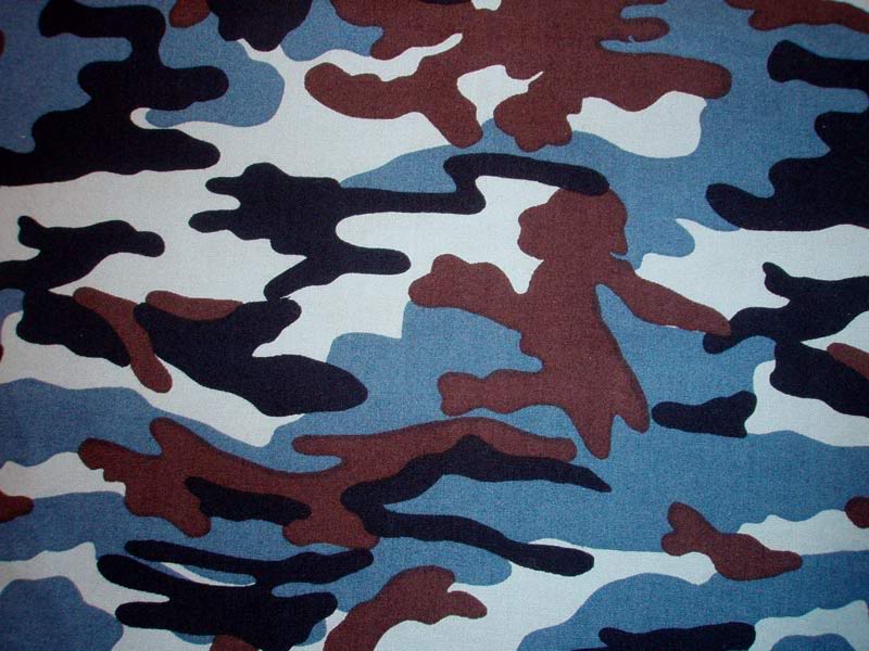 1216936667_Water-Camo.jpg