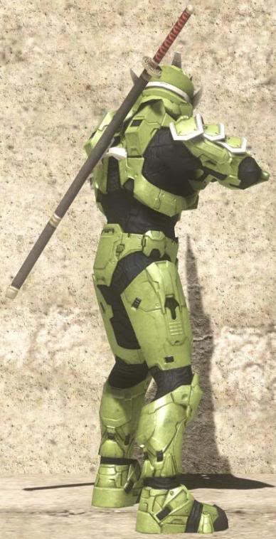 12Hayabusa-KatanaBackShot.jpg