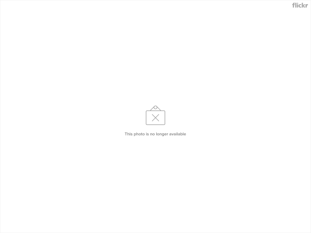 1847586107_440802113e_o.jpg