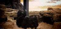 200w_d.gif