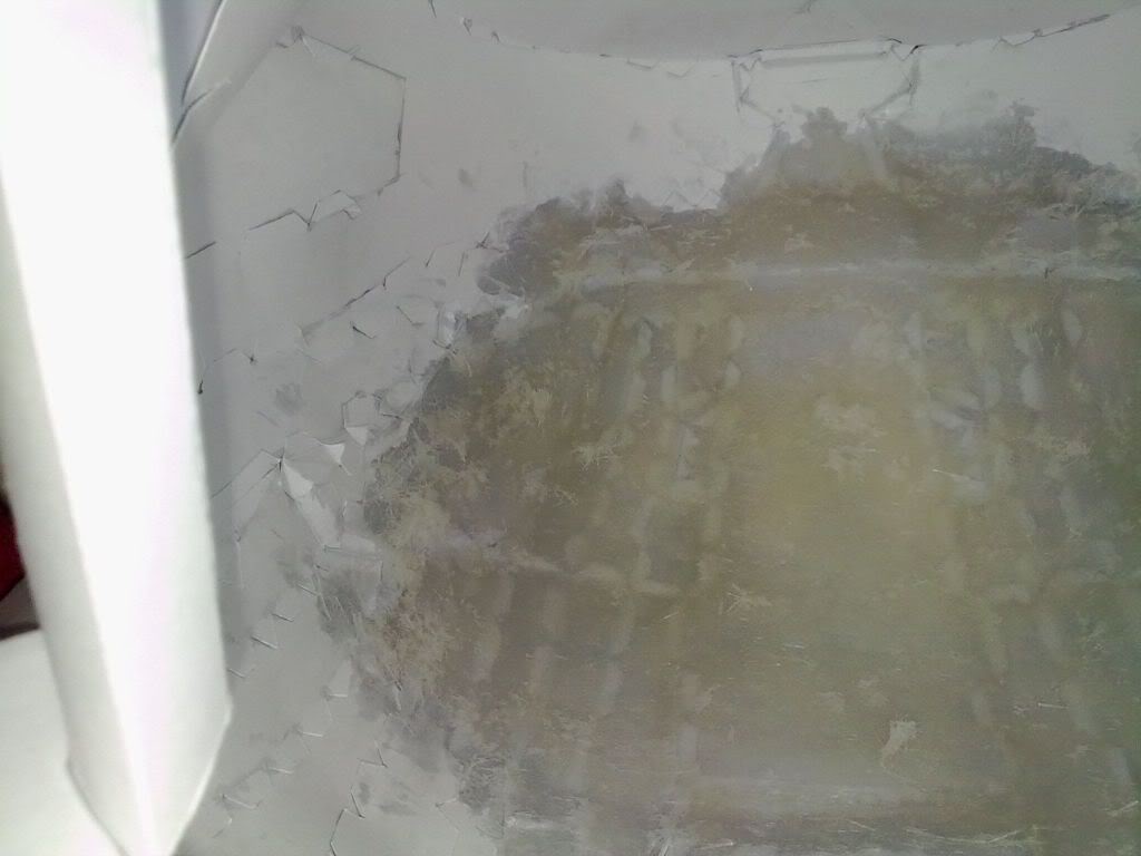 20102010226.jpg