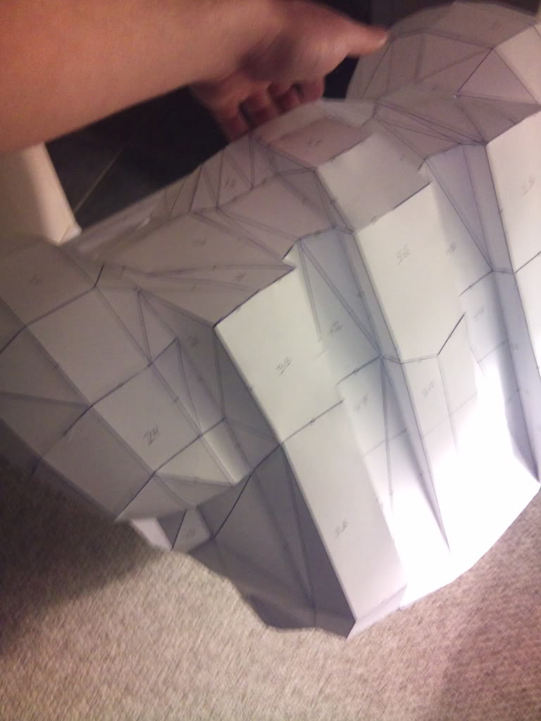 2011-01-03221146.jpg