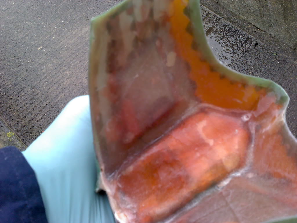2011-05-13_16-16-30_804.jpg
