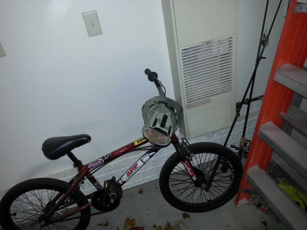 20121027_203031.jpg