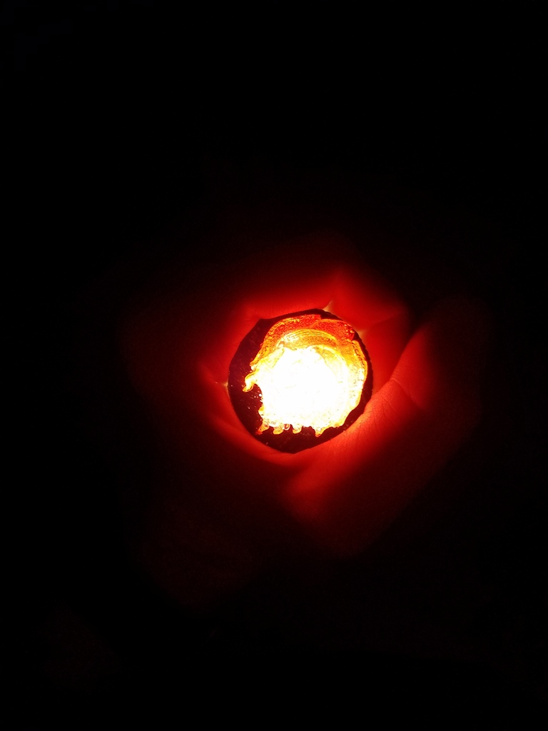 20161105_011012.jpg