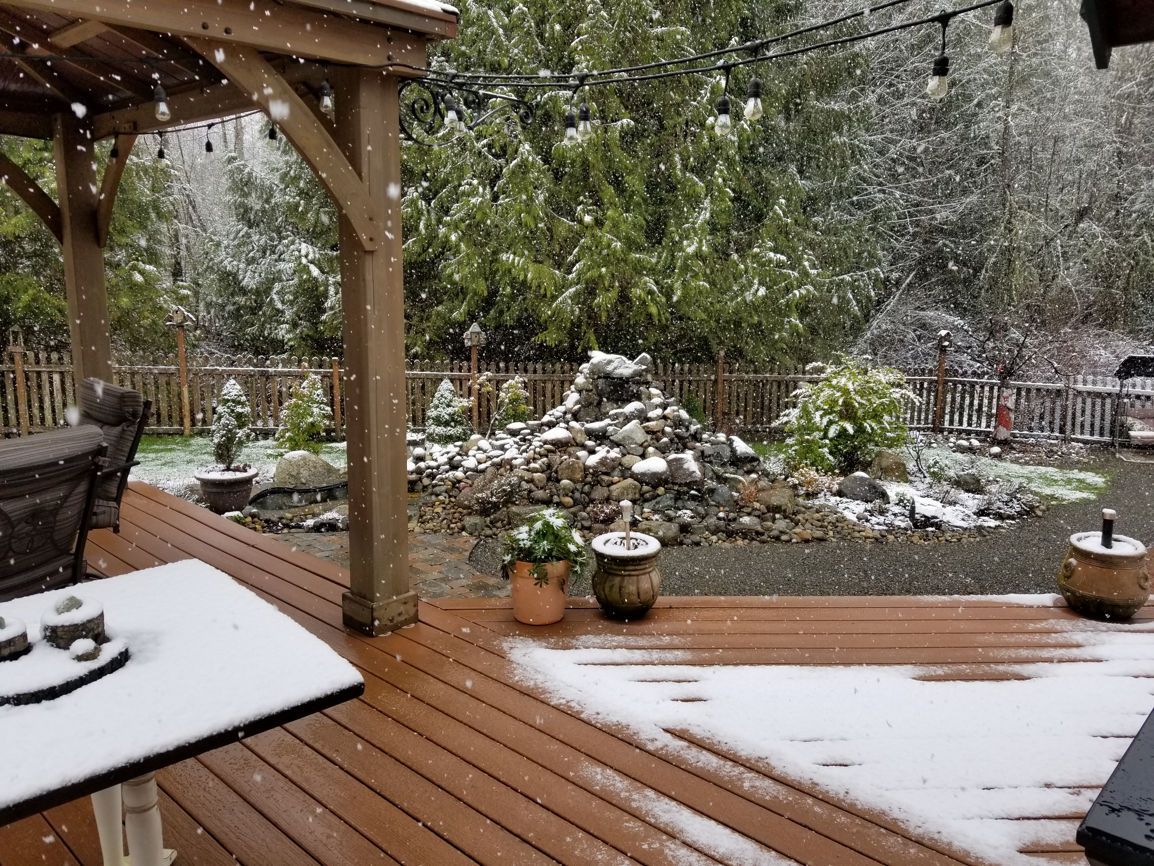 20180218_100301.jpg