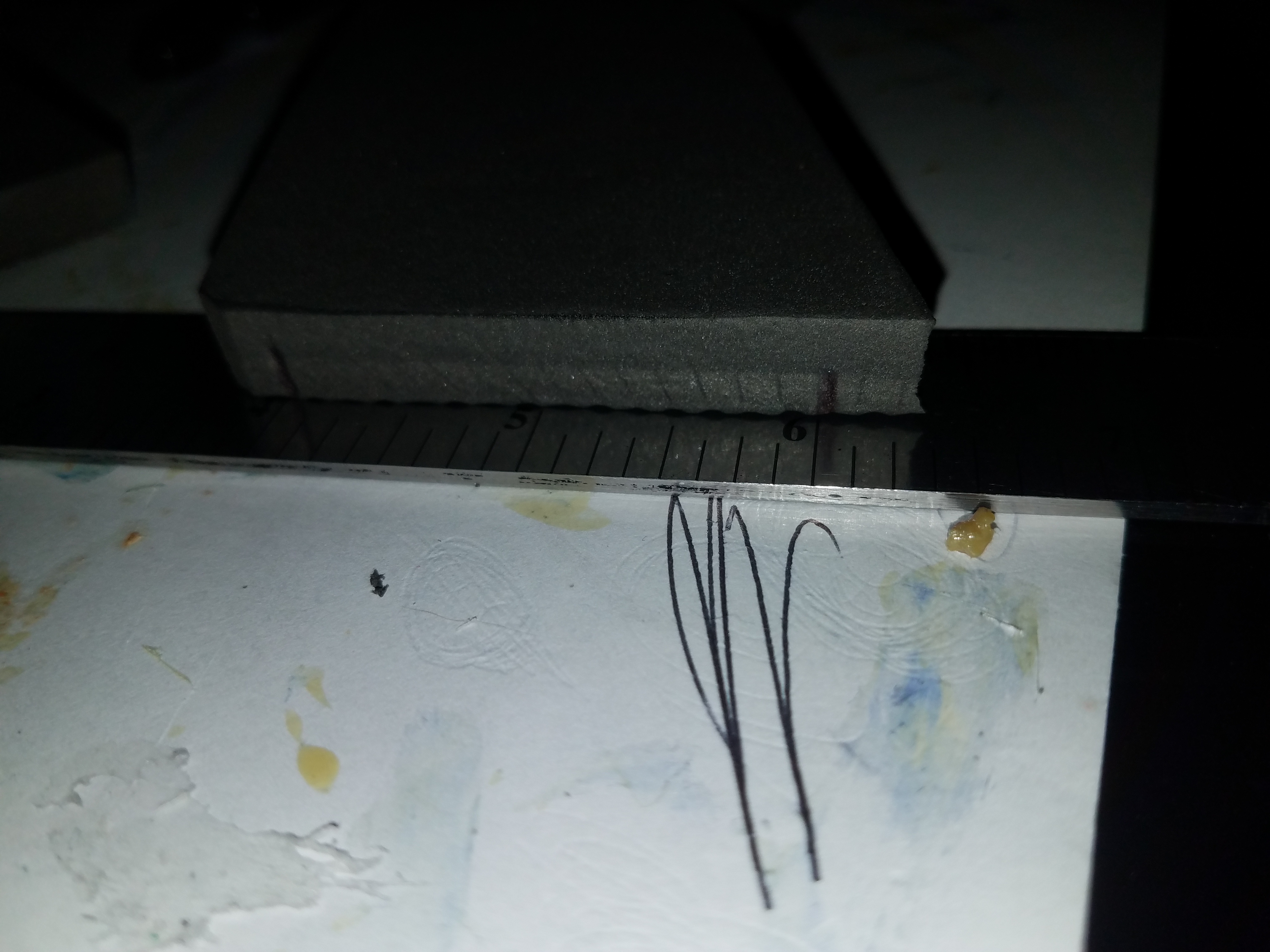 20180808_074313.jpg