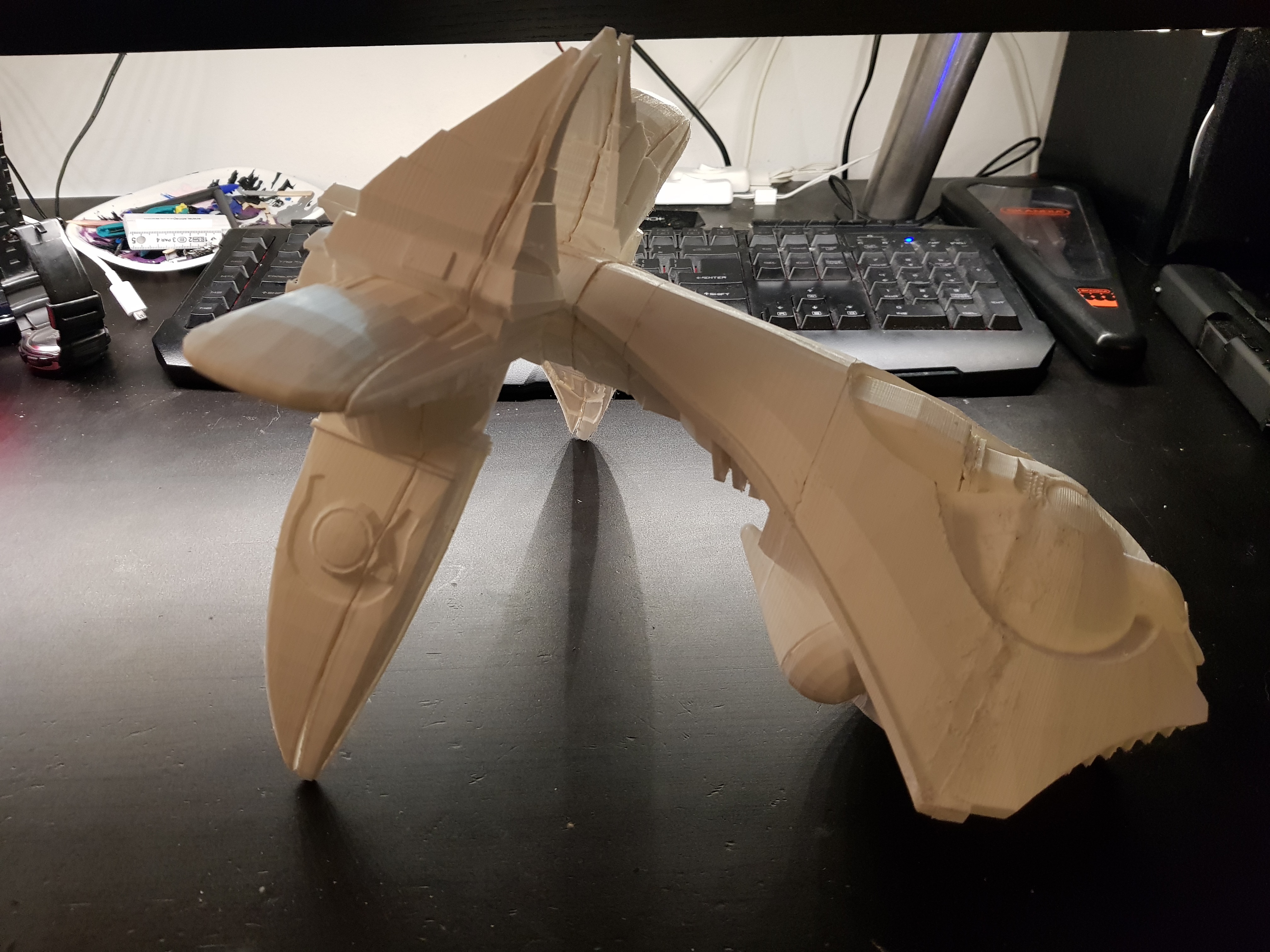 20190731_050427.jpg