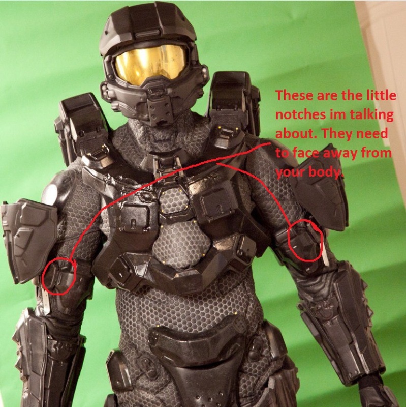208978_10150899179387447_1635310206_n2.jpg
