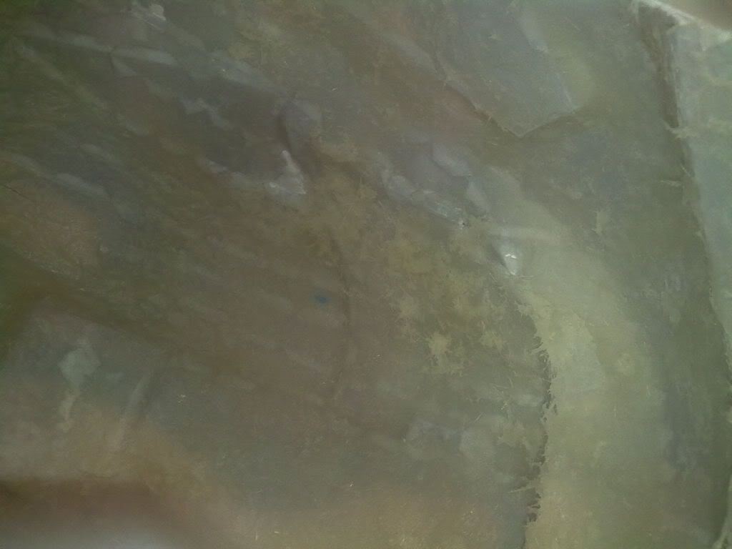 21102010241.jpg