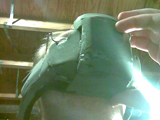 2182011001.jpg
