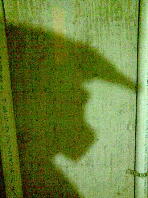 2222011017.jpg
