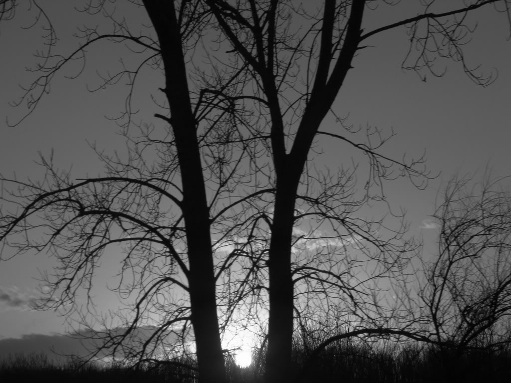2653100025_2667193f90_b.jpg