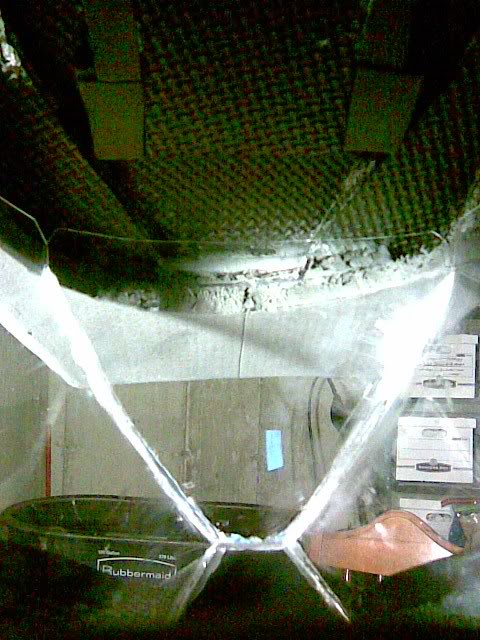 3102011002.jpg