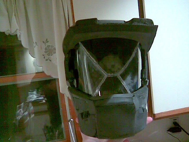 362011009.jpg