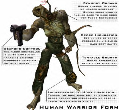 400px-Warrior_Form_Human2.png