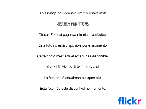 4136579535_febc0d7927_o.png