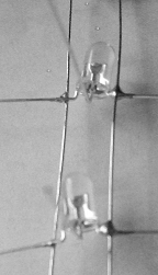 4510868962_374ec0f836_o.png 4510868962_374ec0f836_o.png