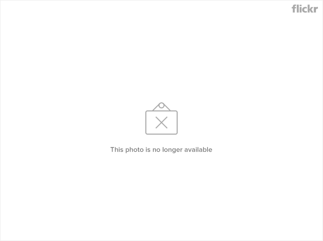 5003740832_acc92e0b52_z.jpg