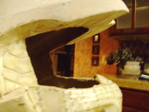 5424227650_8d07ab704a.jpg