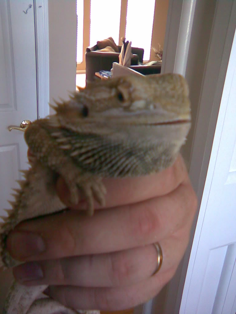 782010007.jpg