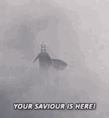 7B442174-E326-400C-B920-C22CE07E46DF.gif