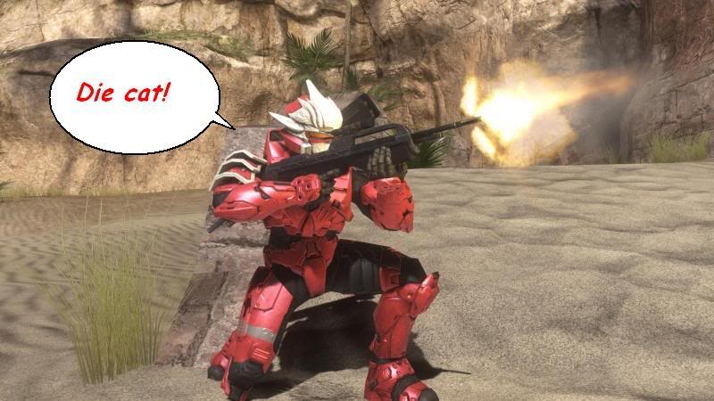 800px-Battle_Rifle_Header.jpg