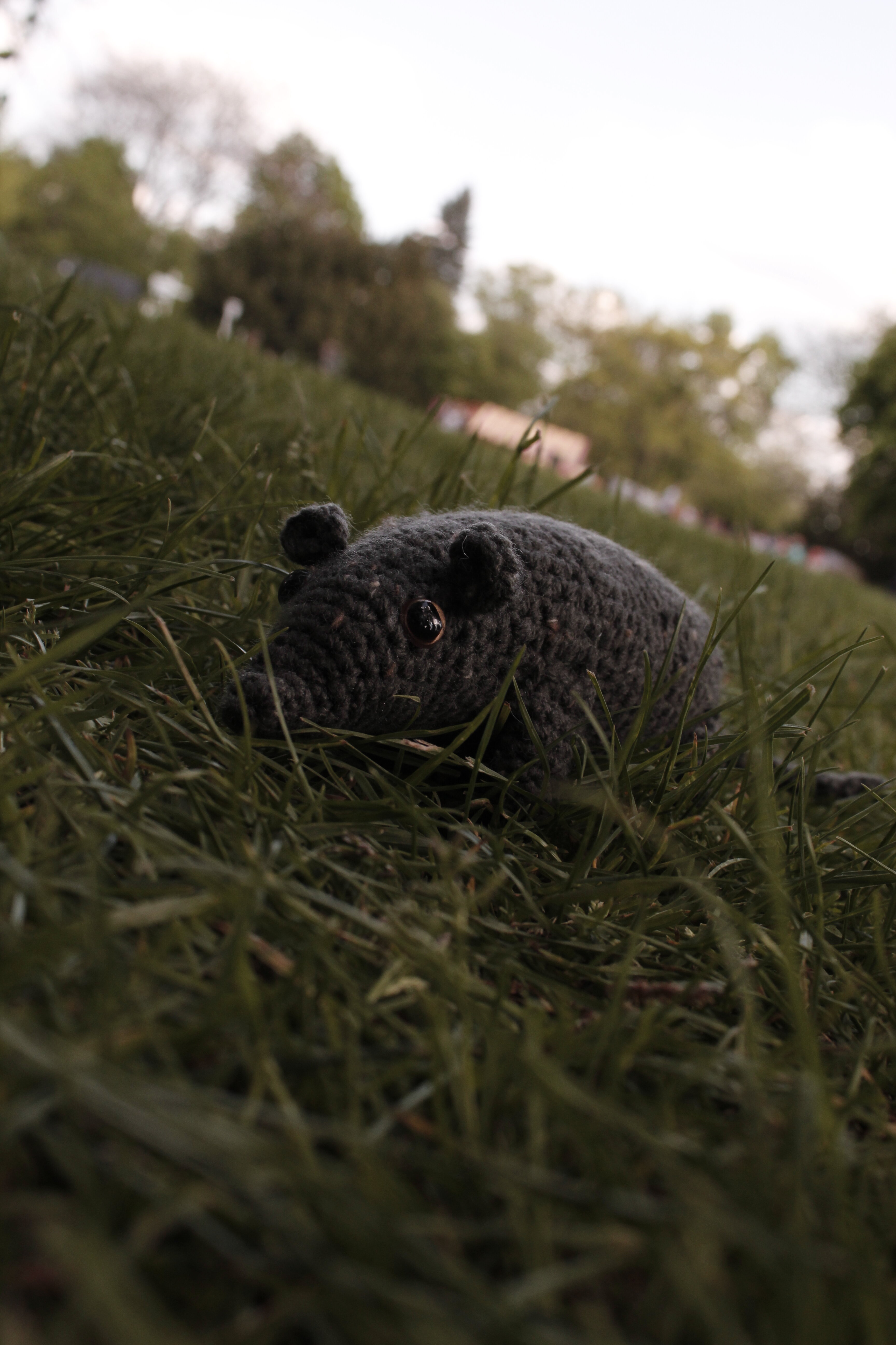 _MG_9206.JPG