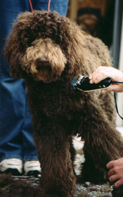 aab1.jpg