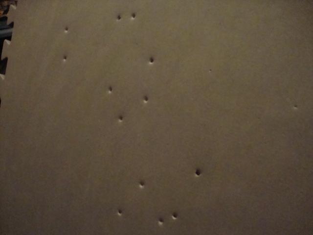 airsoft-foam.jpg