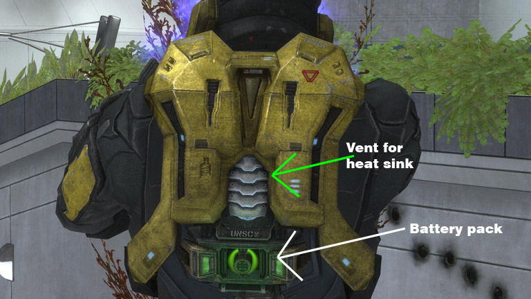 back.jpg