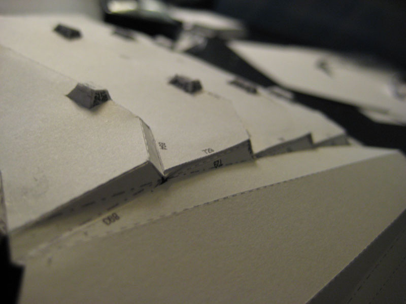 backdetail2.jpg