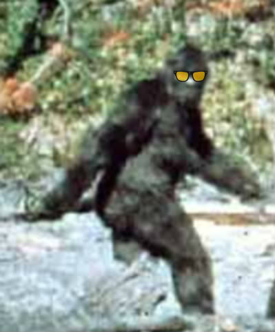 BigFoot-1.jpg
