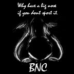 BNC.jpg