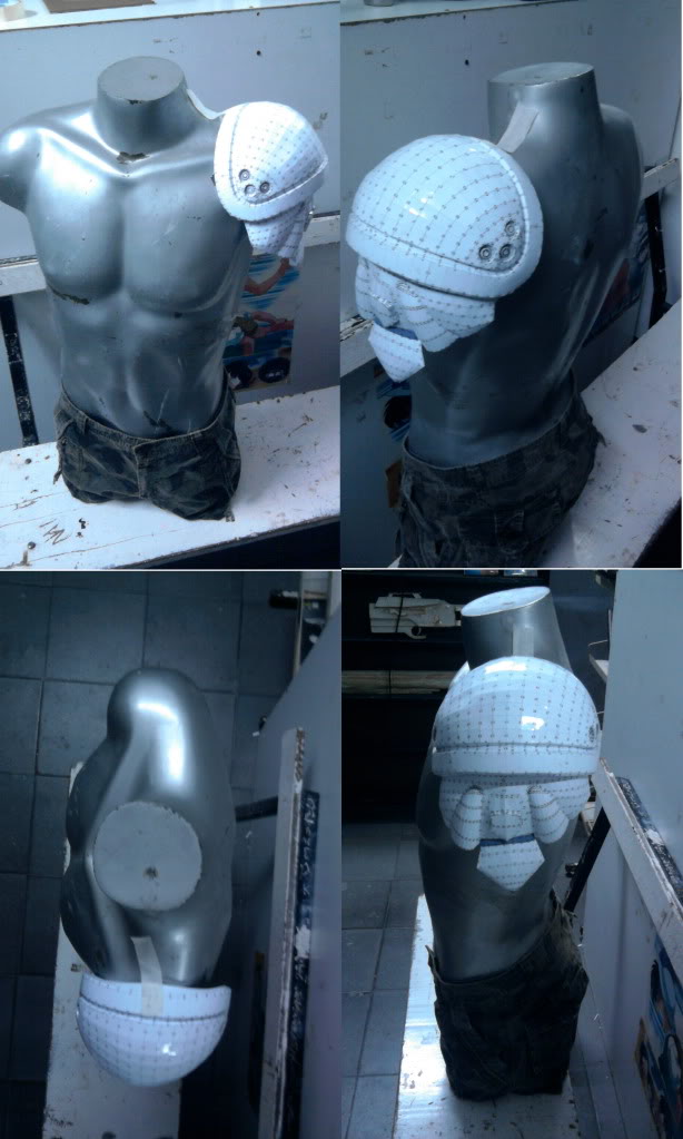 Briareostojaleftshoulder01.jpg