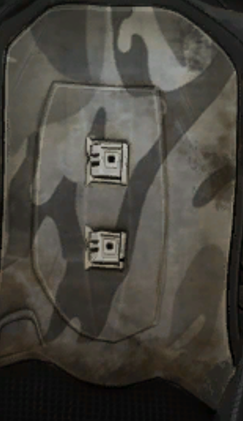 camo.png