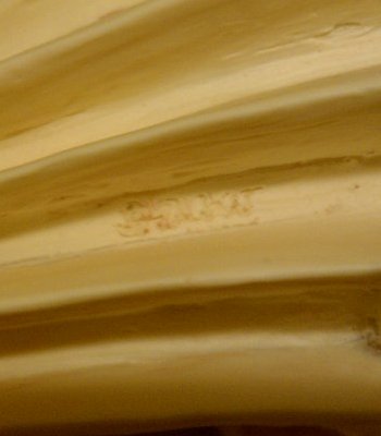 cast-sig.jpg