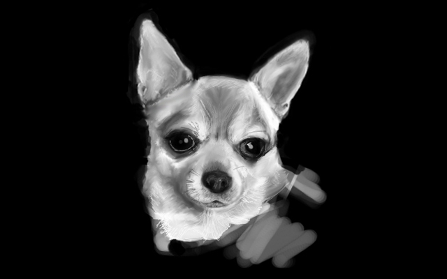 Chihuahua_by_smilie5768.jpg