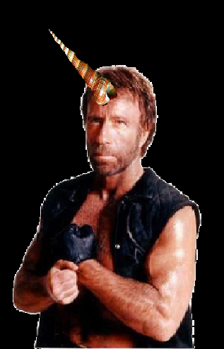 chucknorris.png