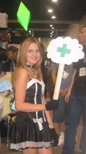 comic_con_2008_simscosplay_big.jpg