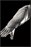 dark_silver_gauntlets.jpg