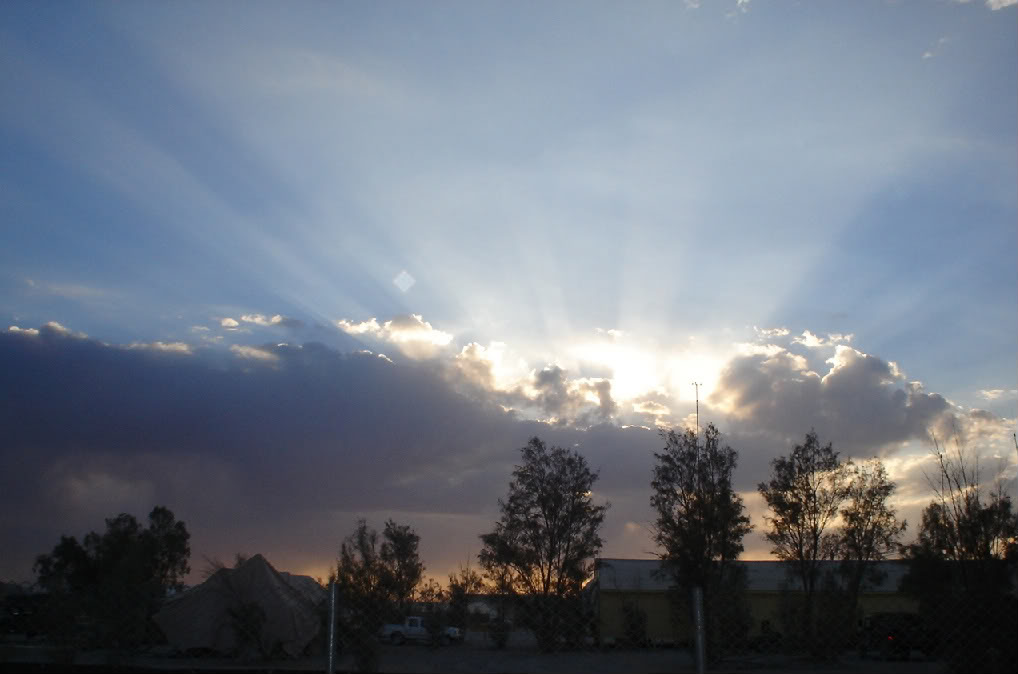 DAWN-1.jpg